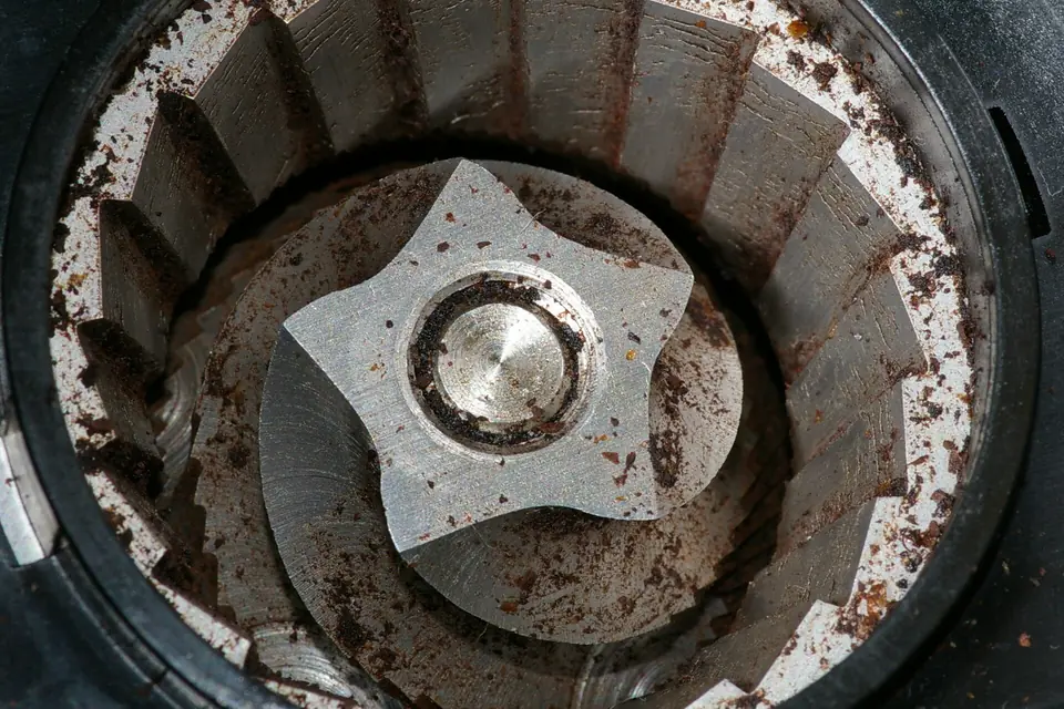 Burr inside a coffee grinder with the hopper removed